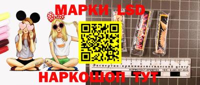 спайс Кимры