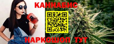 мдпв Кингисепп