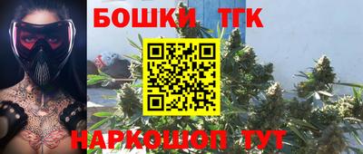 мдпв Кингисепп