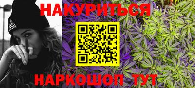 мдпв Кингисепп