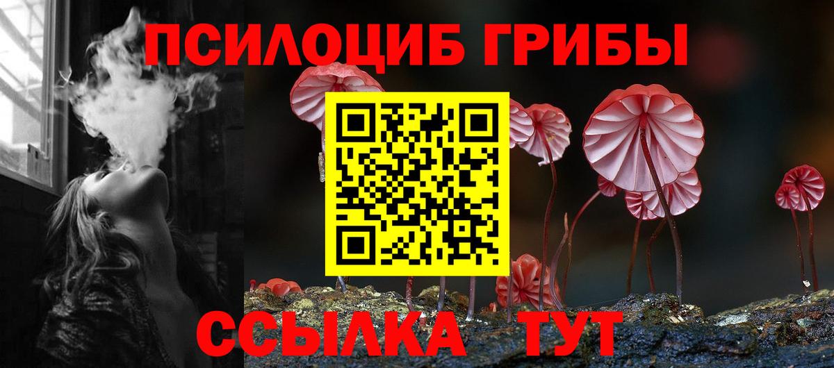 Псилоцибиновые грибы GOLDEN TEACHER Кудрово