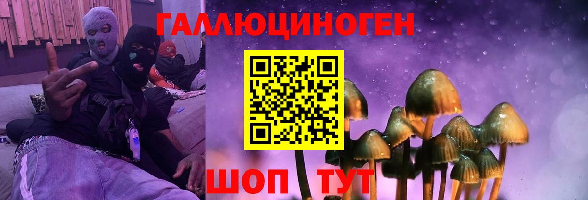 даркнет сайт  Псилоцибиновые грибы Psilocybe  Вход с VPN  Кудрово 